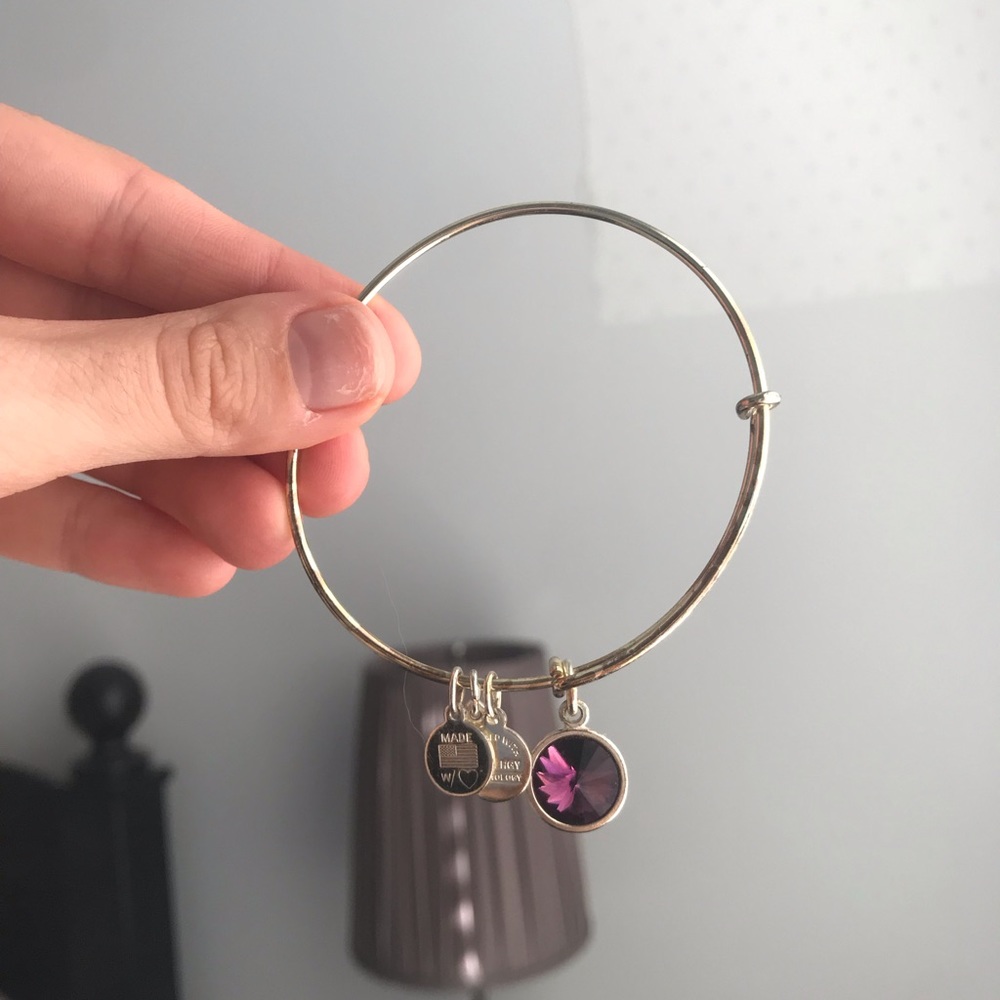 Alex and Ani amethyst February silver bracelet